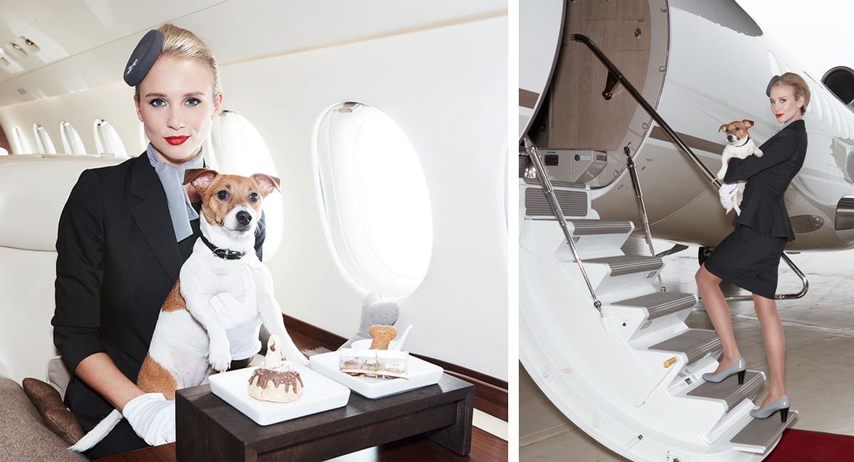 VIP Private Jet Services and Amenities: Fly With Your Pets