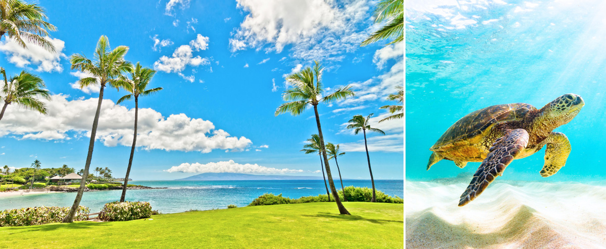 Summer Destinations in the USA: Fly Privately to Maui, Hawaii
