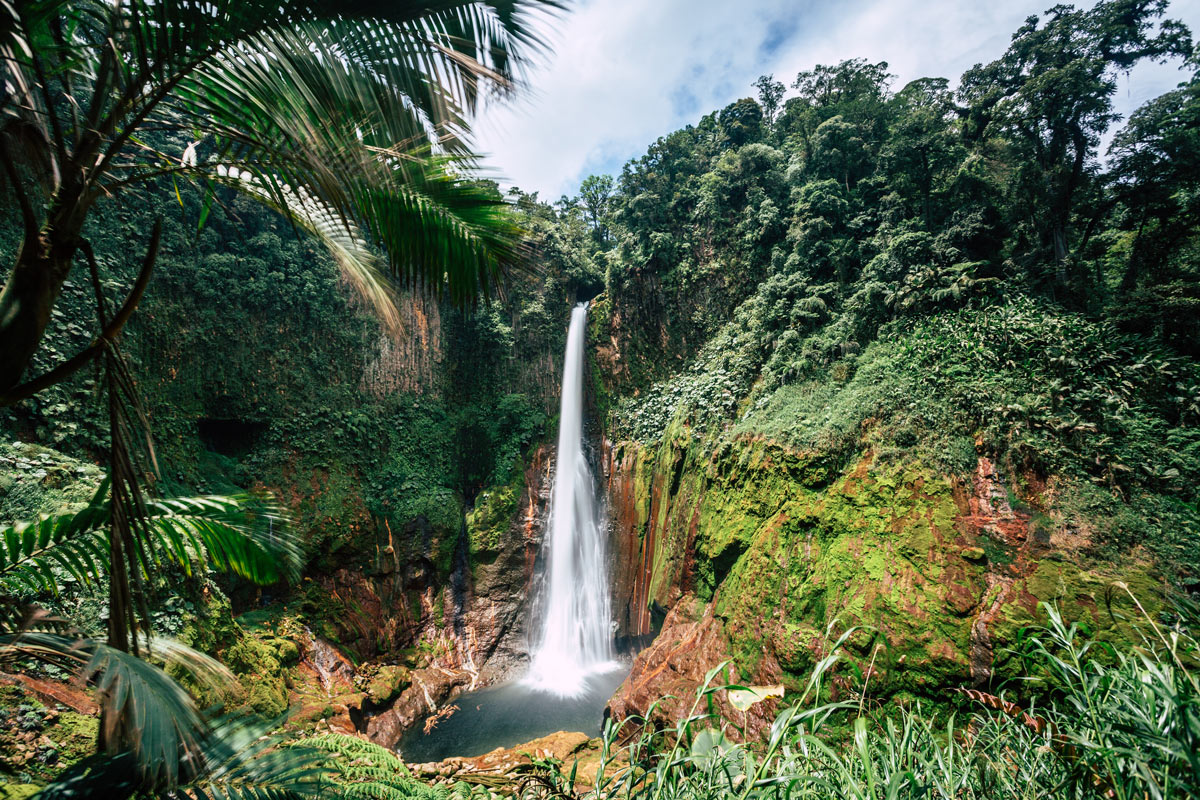 Catarata del Toro waterfall plunges into the lush rainforest of Costa Rica, offering a breathtaking natural wonder for adventure seekers and luxury travellers.