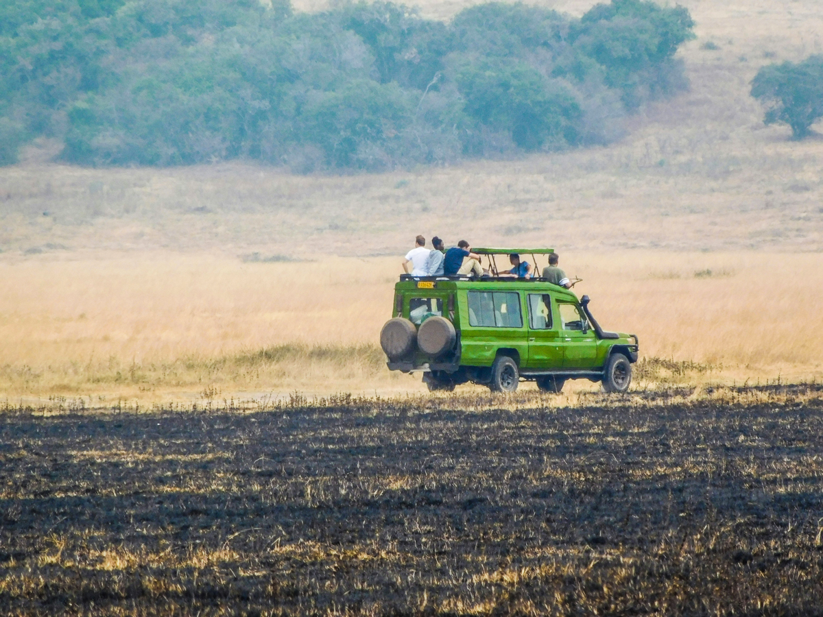 Safari vehicle in the wild with guests, showcasing customised luxury safari experiences and private jet access for seamless adventures.