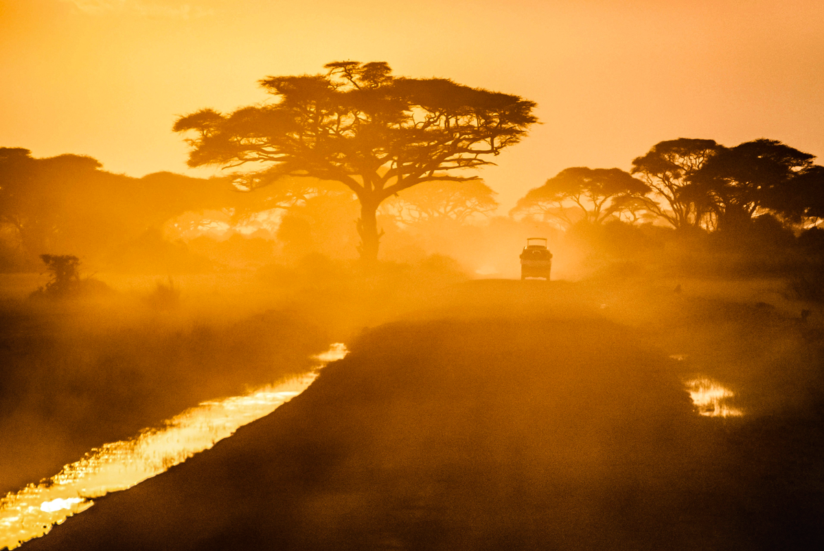 Fly Private to Experience the Most Luxury Safaris in Africa